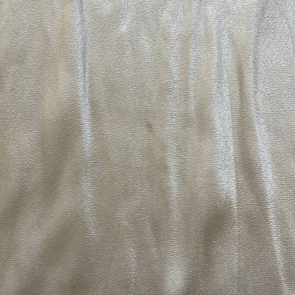 Dissh Champagne Satin Maxi Skirt - Picture 3 of 5